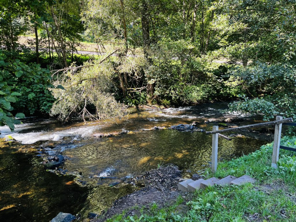 Fluss Enz am Campingplatz Quellgrund