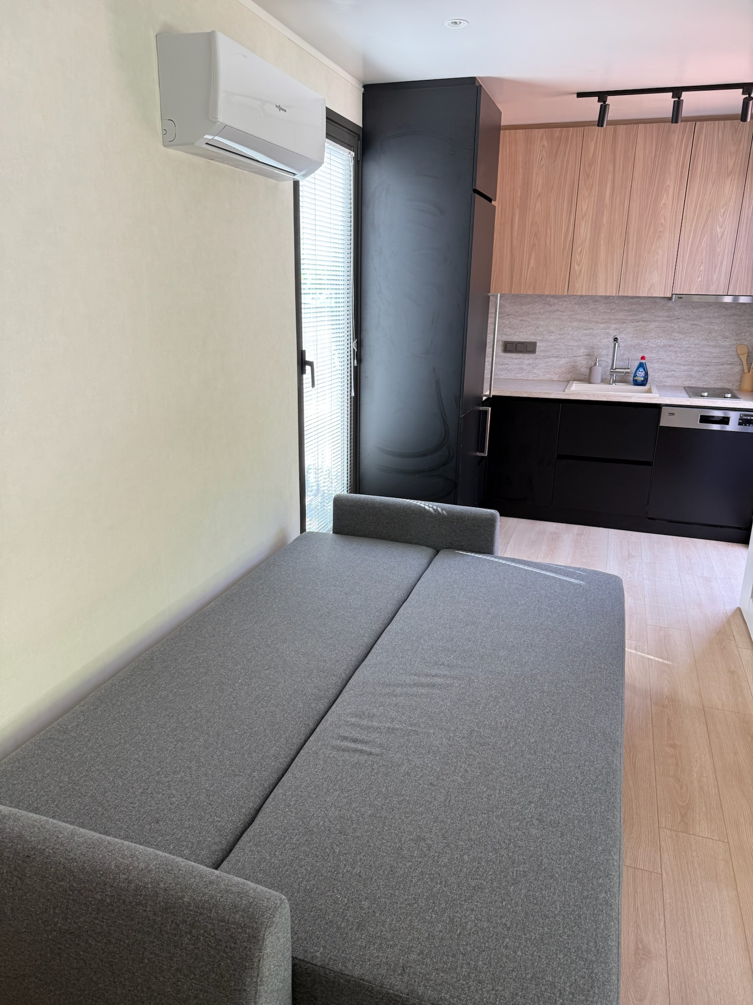 Wohnbereich mit Schlafsofa und Küche